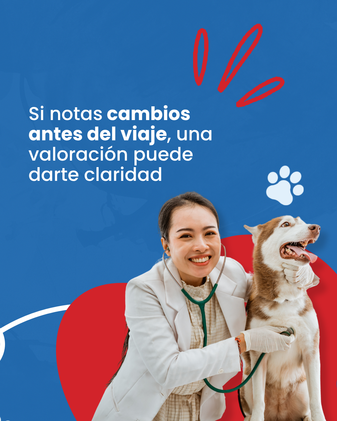 Lamina del carrusel