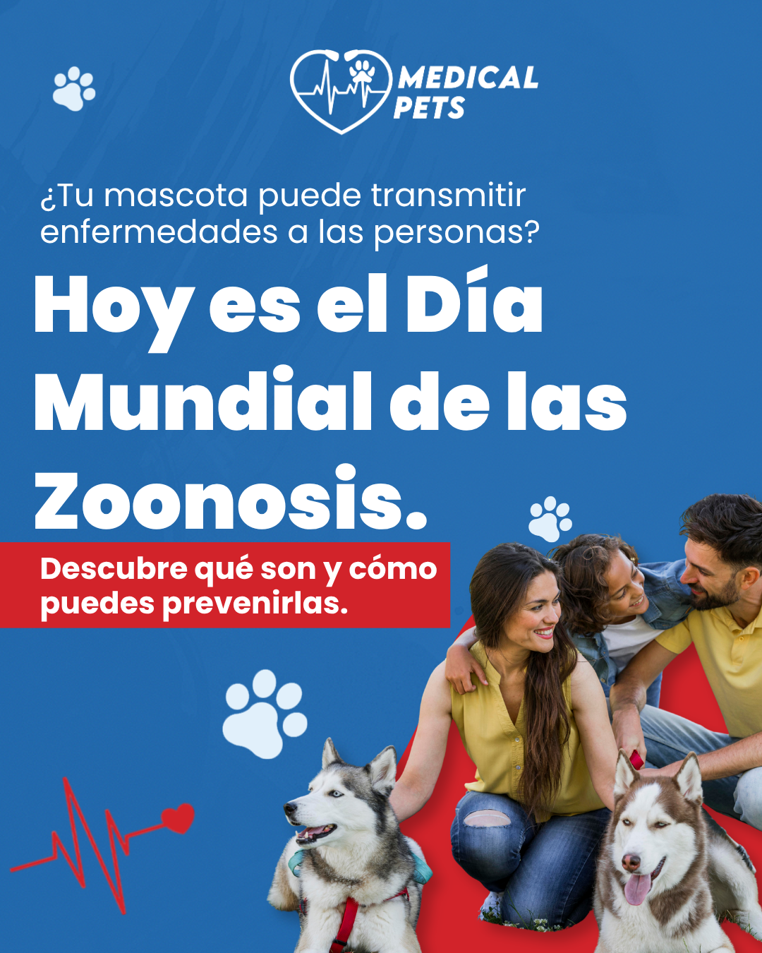 Portada del carrusel