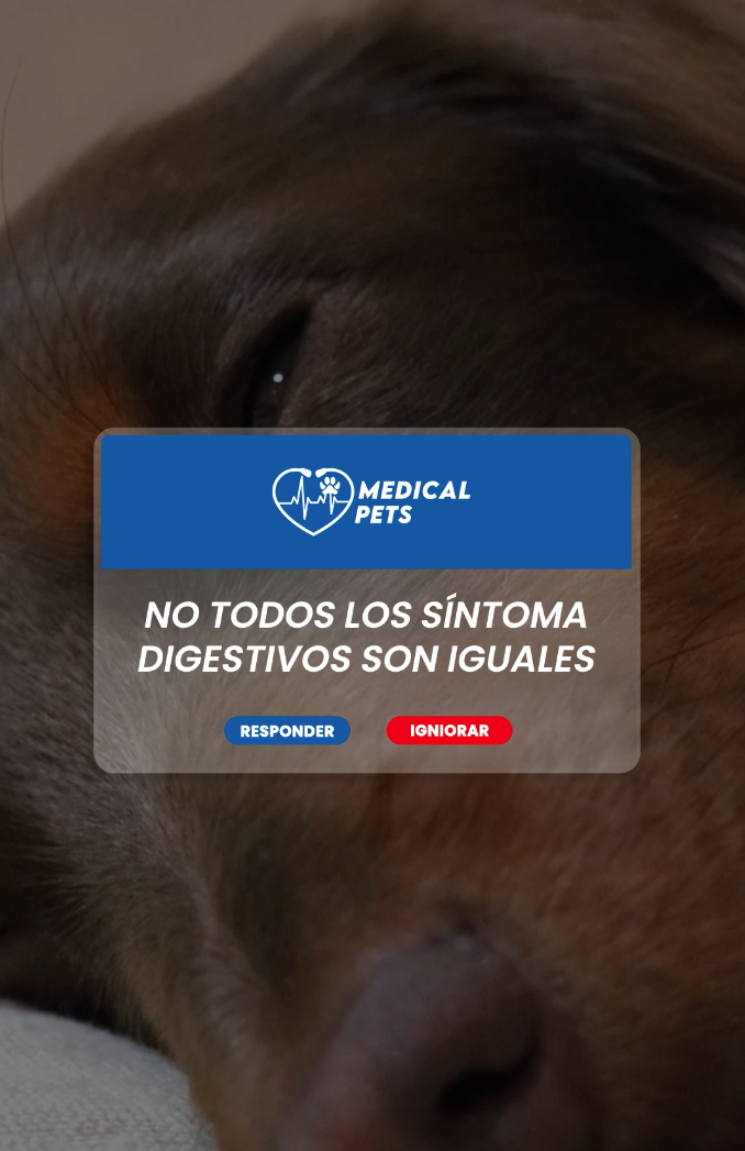 Señales digestivas en temporada lluviosa