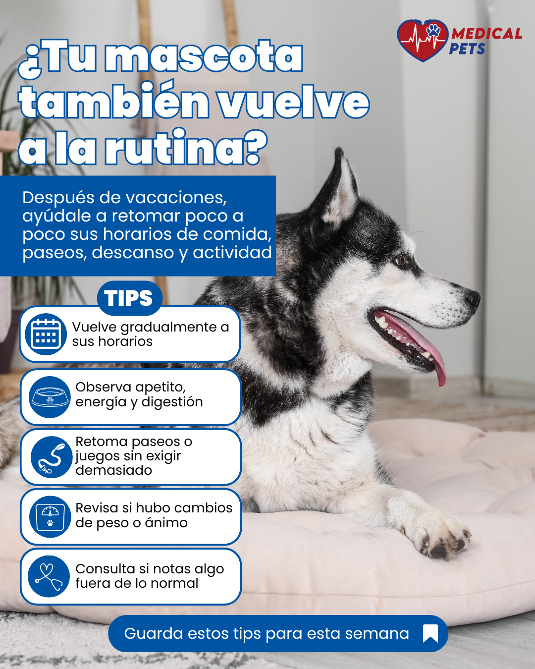 Arte del post