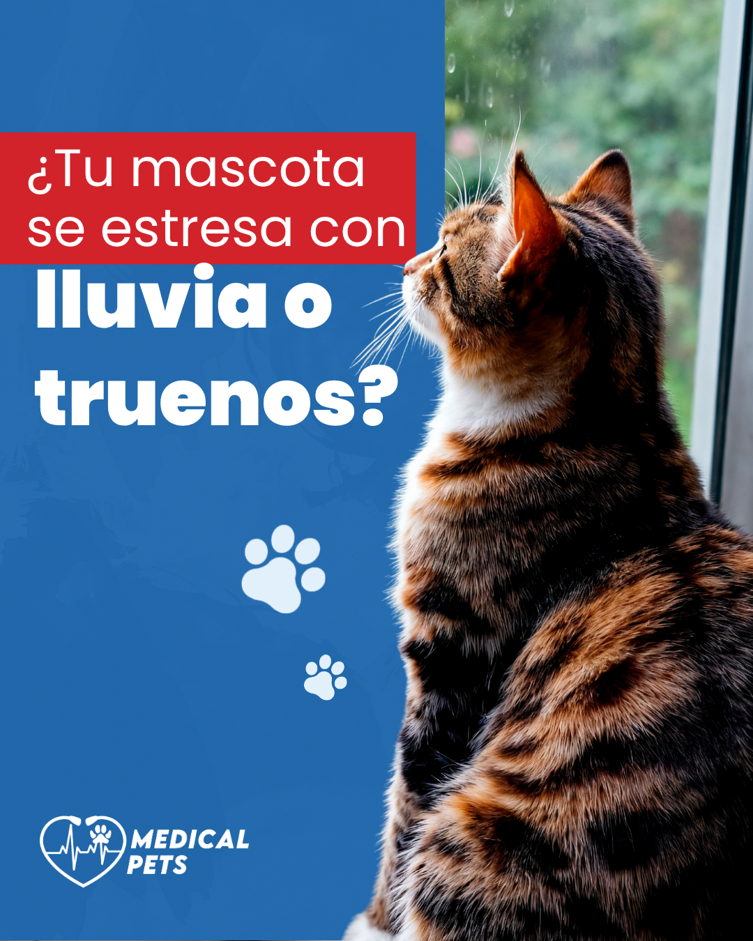 Portada del carrusel
