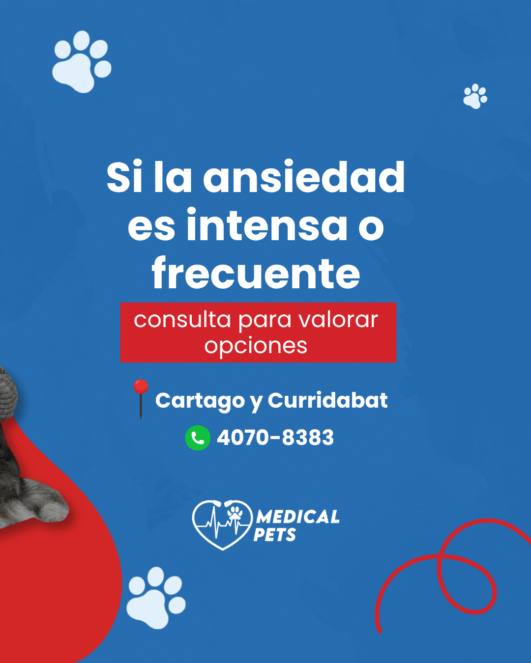 Lamina del carrusel